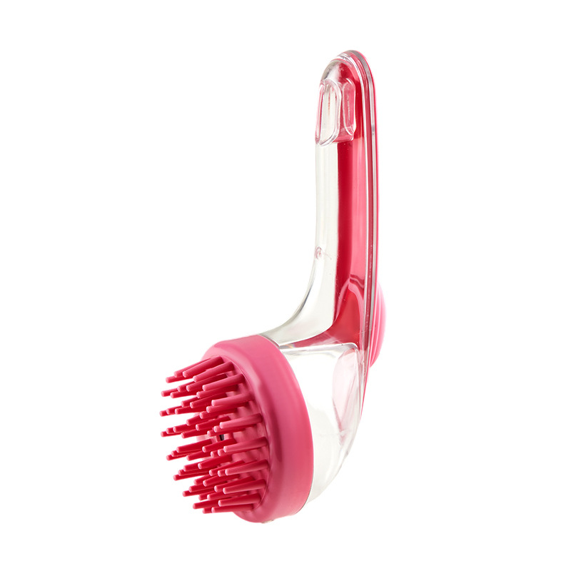 Bath And Shampoo Brush